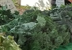 kale in season