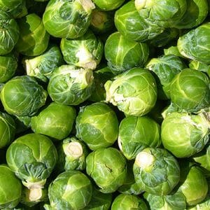 brussel sprouts in season